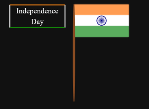 indian Flag Code css