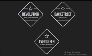 19 CSS Badges
