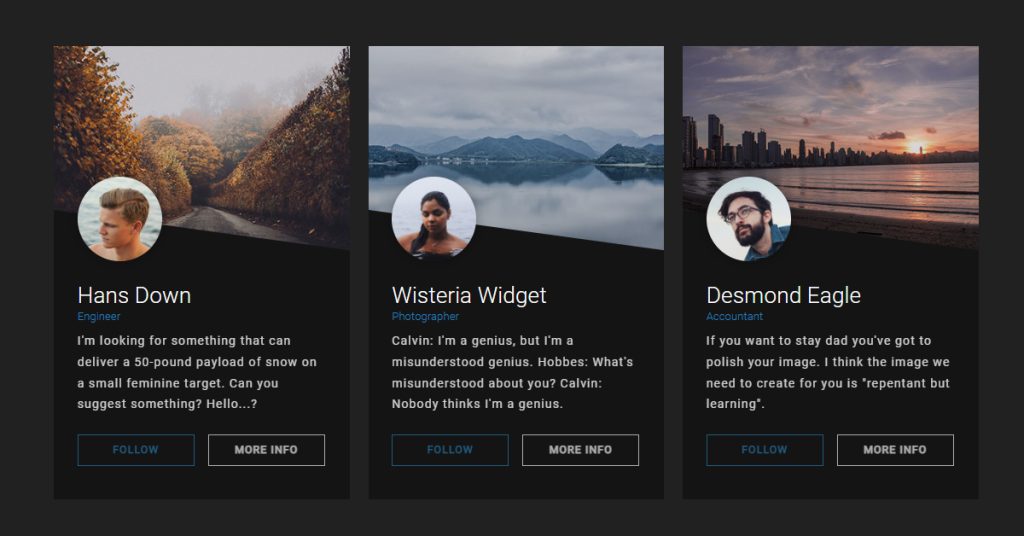 20 CSS Profile Card Designs 2024 Update 