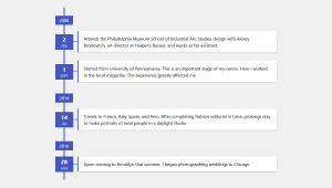 30+ CSS Timelines 30+ CSS Timelines