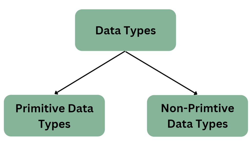 Primitive vs Non Primitive data types